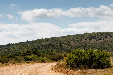 The Road That Leads to ...