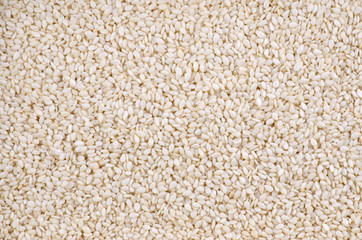 sesame seeds macro background