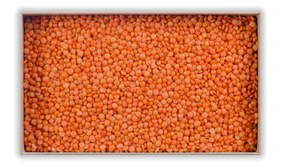 lentils background mound