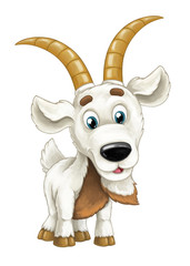 Cartoon happy horned goat is standing looking and smiling - artistic style - isolated - illustration for children