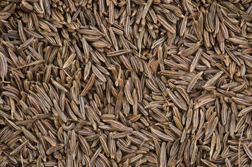 cumin background macro