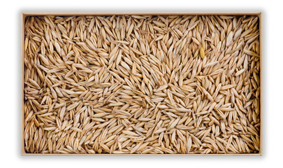 oats background macro