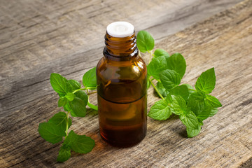 Essential oil of peppermint in a small bottle with fresh mint