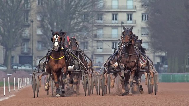 Horse racing, French Trotter, harness racing at racecourse, Caen, Normandy, France