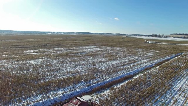 4K. Combine Harvester is working in the corn field after the First Snow!!! Harvester is cutting ripe dry corn. The first snow fell in early winter. Aerial panoramic view.