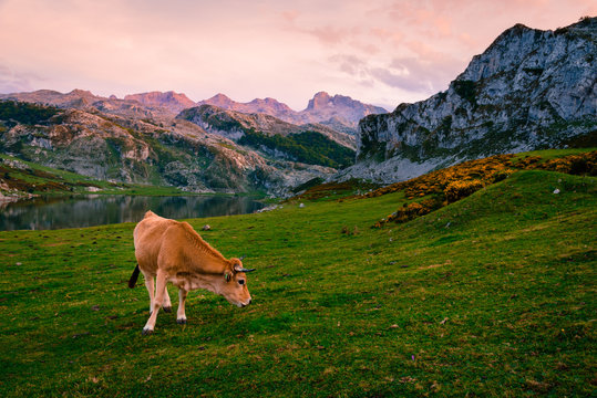 Beautiful scenery with the mountains