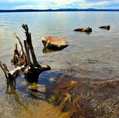 Foto op Plexiglas some rocks and driftwood on the shore of lake © petrovval