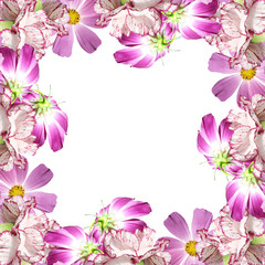 Beautiful floral background with pink carnations and kosmeya 