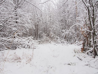 After a heavy snowfall.