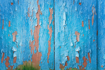 Vintage blue wood background with peeling paint