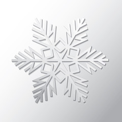 Vector of Snowflake for winter design and decoration