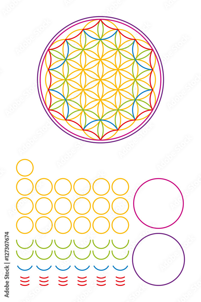 Poster flower of life components and building set. ancient symbol composed of nineteen overlapping circles 