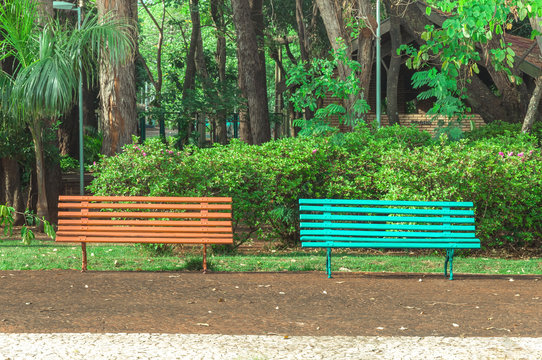 Two benches side by side on a square with trees and a beautiful green vegetation background. Orange and blue bench, very peaceful place to sit and relax with friends, choose one.