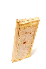 Honeycombs on a wooden frame isolated on a white background