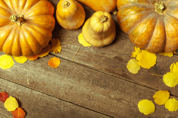 pumpkins on wooden board