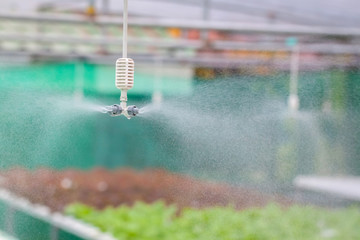 watering system in Vegetables hydroponics garden ,Organic hydrop