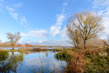 Autumn Trees  Close to the Dnieper River