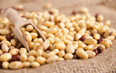 Soybeans high protein preparing for dessert