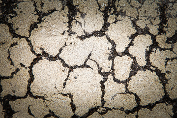 Closeup peeling paint of traffic line background