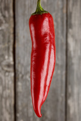 Red pepper on grey board background/Vertical close-up of red pepper