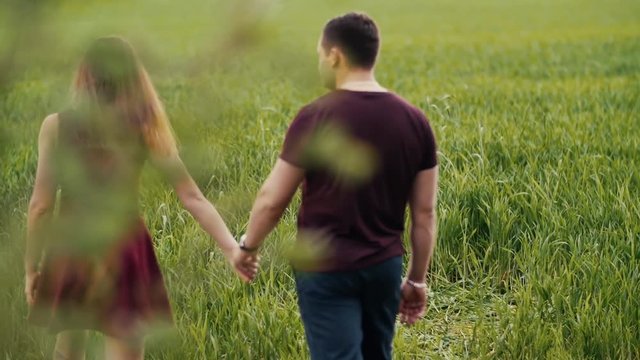 Young couple walking in an oat field. They hold hands, womans hair sway in the air as she turns head. Backview, slow mo