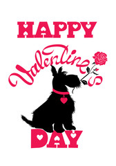 Holiday card. Calligraphic hand written text Happy Valentine`s D