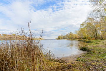 Poplar and Willow Trees Close to the River, in Autumn