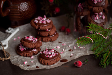 Chocolate Christmas Cookies with Crushed Candy Cane