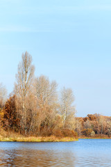 Trees close to  the Dnieper river in autumn