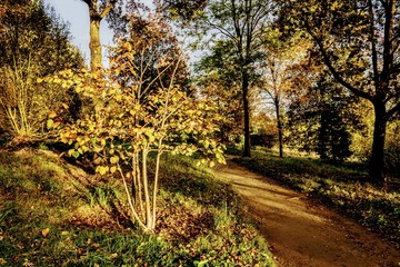 batsford arboretum cotswolds