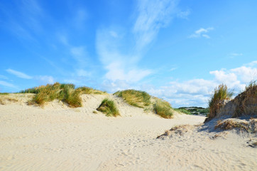 Dünenlandschaft an der Nordsee