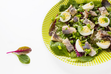 Pickled herring, mix of green salad, onion, boiled quail eggs and grated parmesan cheese with lemon juice and olive oil. White table.