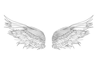 Wings. Vector illustration on white background. Black and white