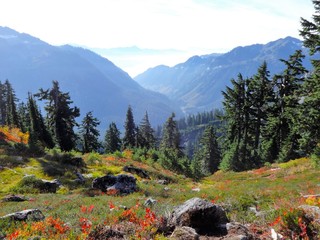 Autumn color painted grass on the slope, and the view of North Cascades and the valley © octobersun
