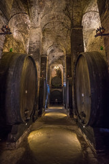 Wine barrels (botti) in a Montepulciano cellar, Tuscany