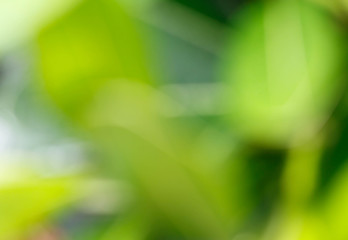 Abstract green background