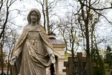 Fototapeta premium Statue of Virgin Mary