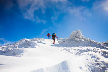 Fototapeta na wymiar Climbers are on snow slope.