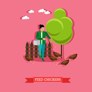 Woman feeding chickens, aviculture, vector illustration