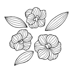 Abstract flowers graphic set black white isolated illustration vector