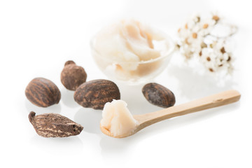 Shea butte nuts and a cup of shea butter