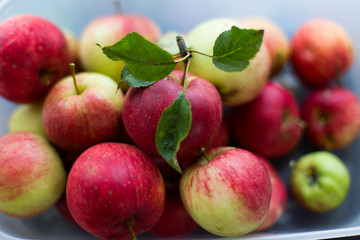 apples on a dark table red fruits