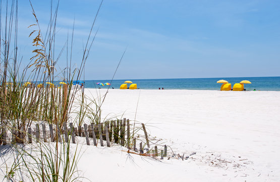 Gulf Coast Beach