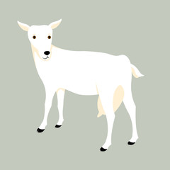 goat vector illustration style Flat