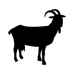 goat vector illustration black silhouette