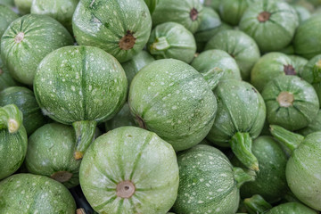 Round zucchini at the city market