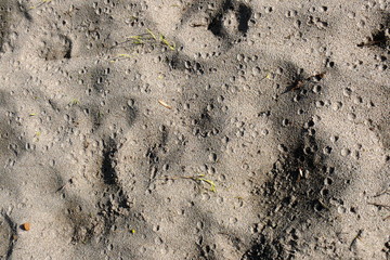 Steine Mauern 