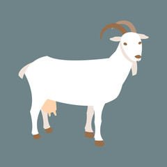 goat vector illustration style Flat