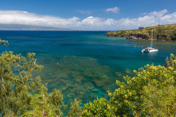 Fototapeta na wymiar Maui Ocean
