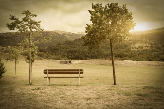Fototapeta Typical rural landscape- Italy